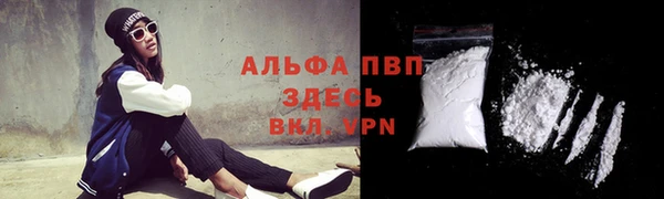 PSILOCYBIN Заволжск