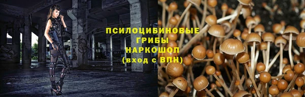 PSILOCYBIN Заволжск