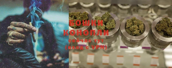 дмт Елизово