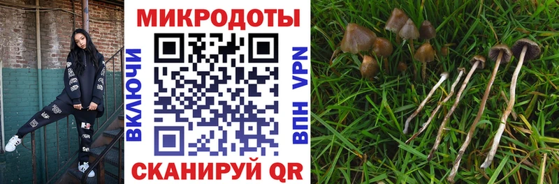 что такое   blacksprut маркетплейс  Галлюциногенные грибы мухоморы  Кызыл 